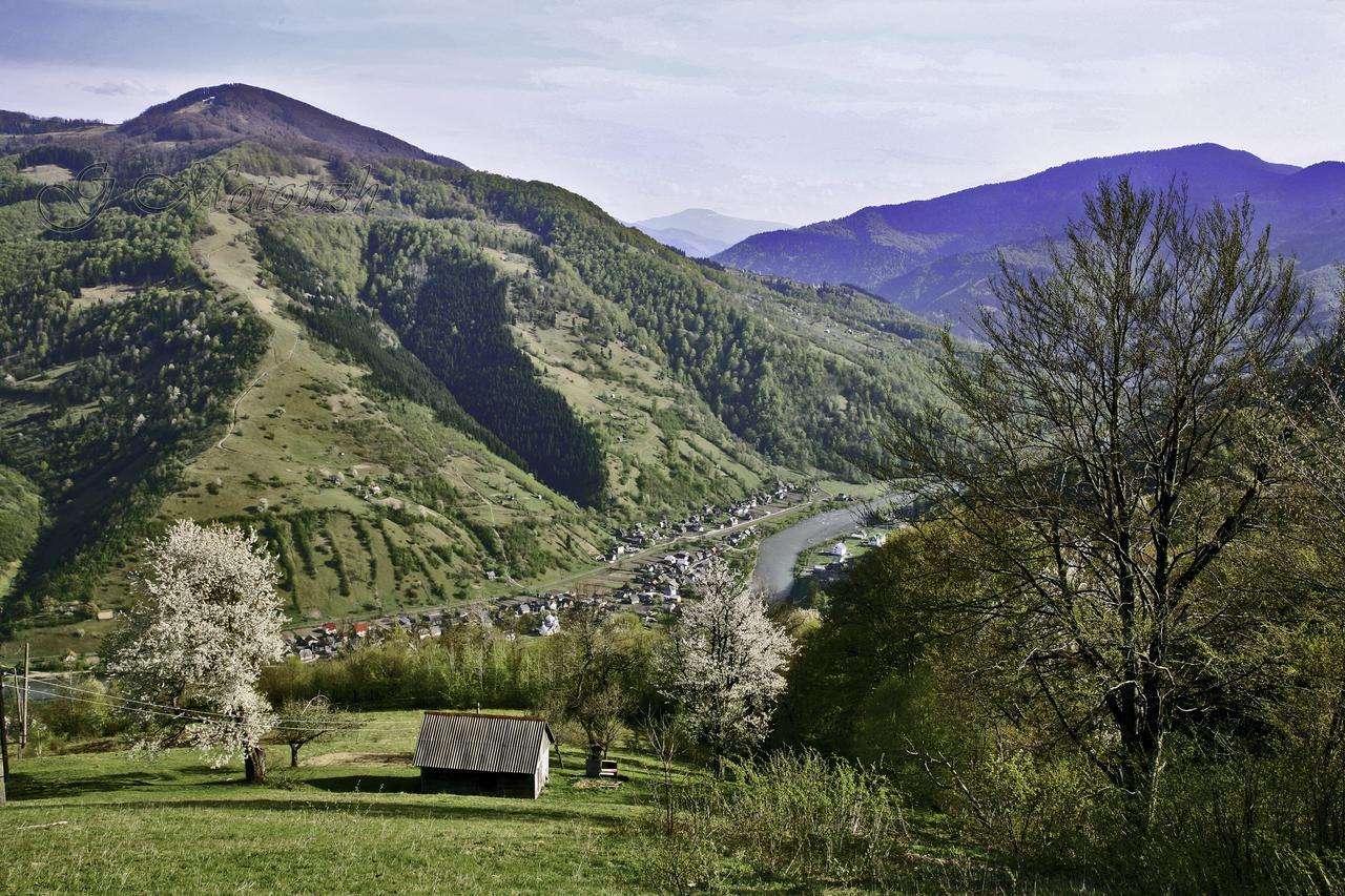 Dream Hostel Carpathians Rachiv Exteriör bild